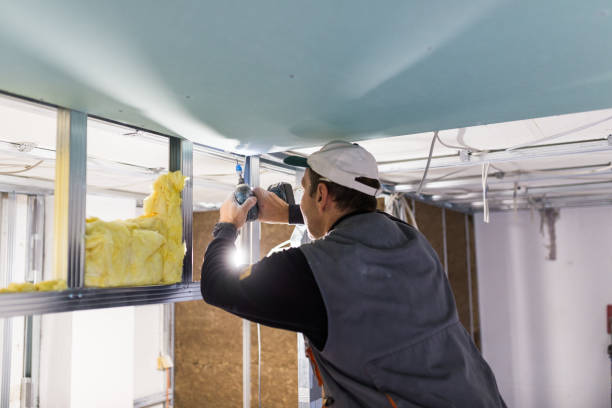 Best Residential Insulation in Combine, TX