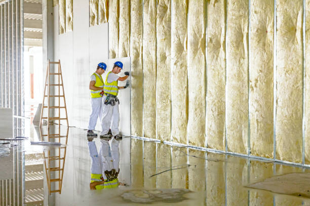 Best Eco-Friendly Insulation in Combine, TX